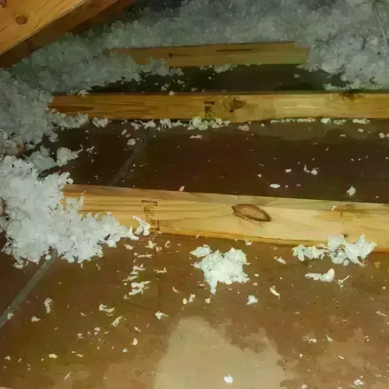 Attic Water Damage in Goliad County, TX